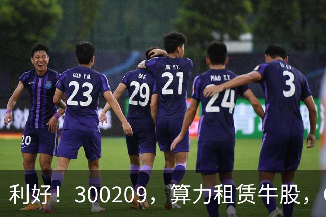 利好！300209，算力租赁牛股，Q3营收大增55倍